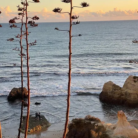 Da Avo Te - Em Frente A C Piscina Portimão