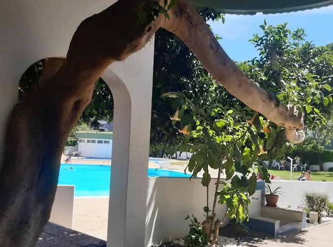 Da Avo Te - Em Frente A C Piscina Appartement