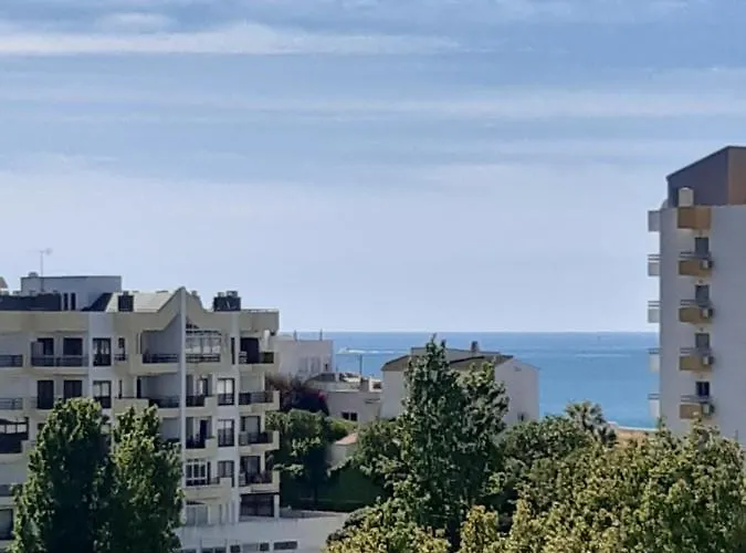 Appartement Da Avo Te - Em Frente A C Piscina *