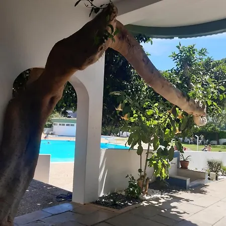 Da Avo Te - Em Frente A C Piscina Lägenhet